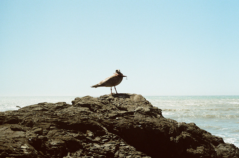 Nash-Rood-Lost-Coast-Trail-Tips-Field-Mag-3
