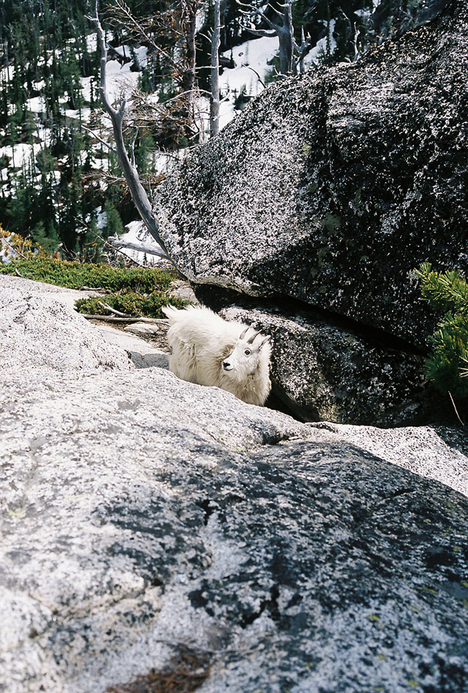 Nash-Rood-Enchantments-Fieldmag-5