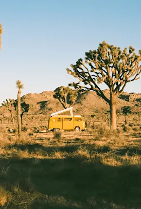Desert Dwelling Van Lifers in Joshua Tree National Park