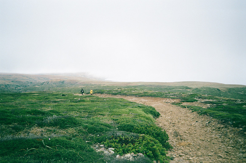 Kellen-Mohr-Channel-Islands-24