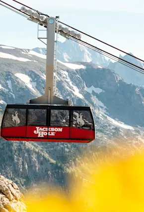 5 Epic Ways to Adventure in Jackson Hole This Summer