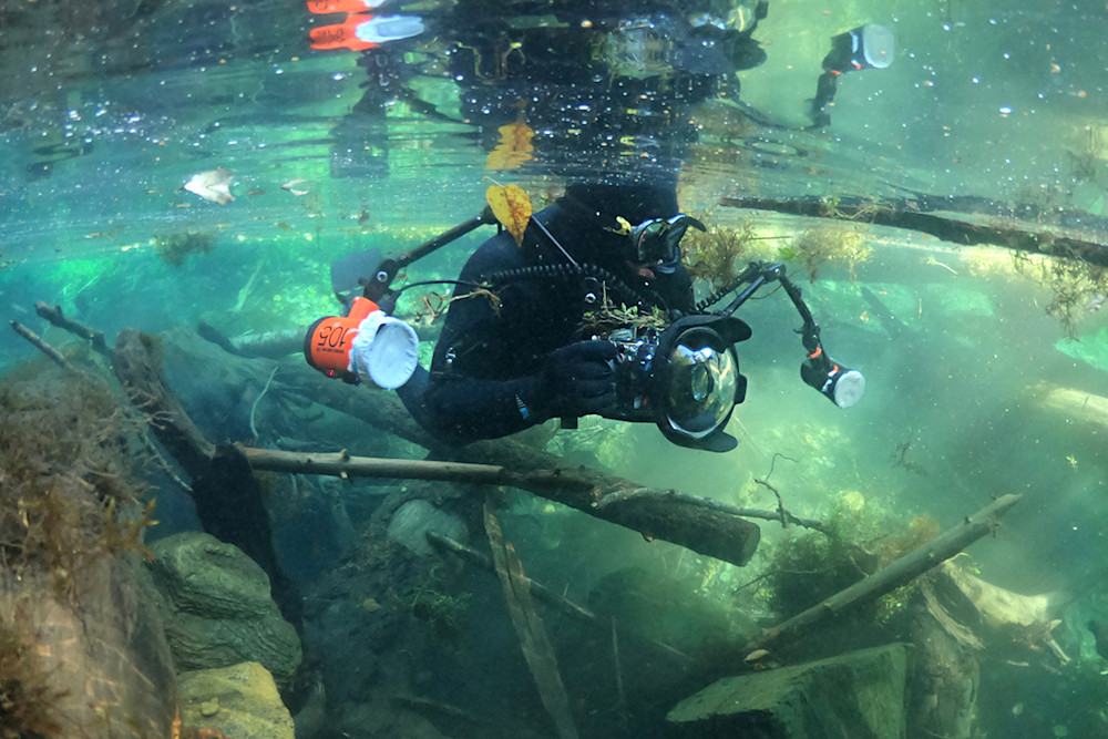 How to Preserve Pacific Northwest Urban Salmon Runs Best Underwater