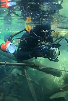 The Future of Urban Salmon is Looking Up