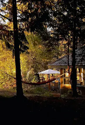The 14 Best Vrbo & Airbnb Cabin Rentals in Victoria, BC