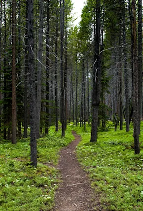 9 Climate Neutral Products to Lessen Your Impact at Home & Camp