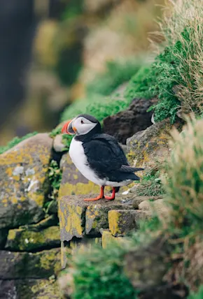 Photo Essay: The Many Moods, Tones, and Colors of the High Arctic