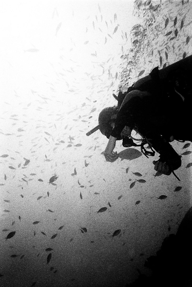 N-Stephenson-Bonaire-Underwater-11