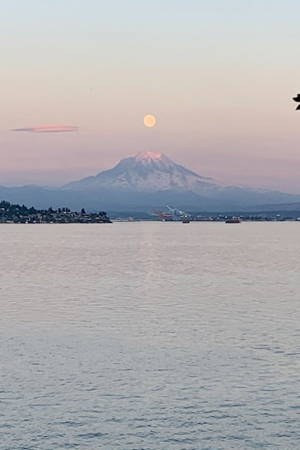 Yurt-Guide-Washington-Waterfront-Yurt-View