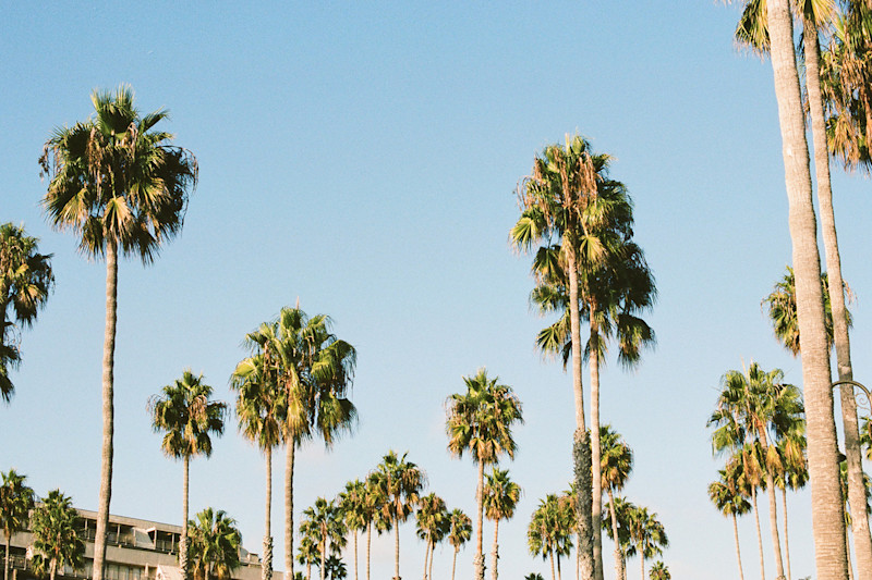 Noah-PCH-roadtrip-22