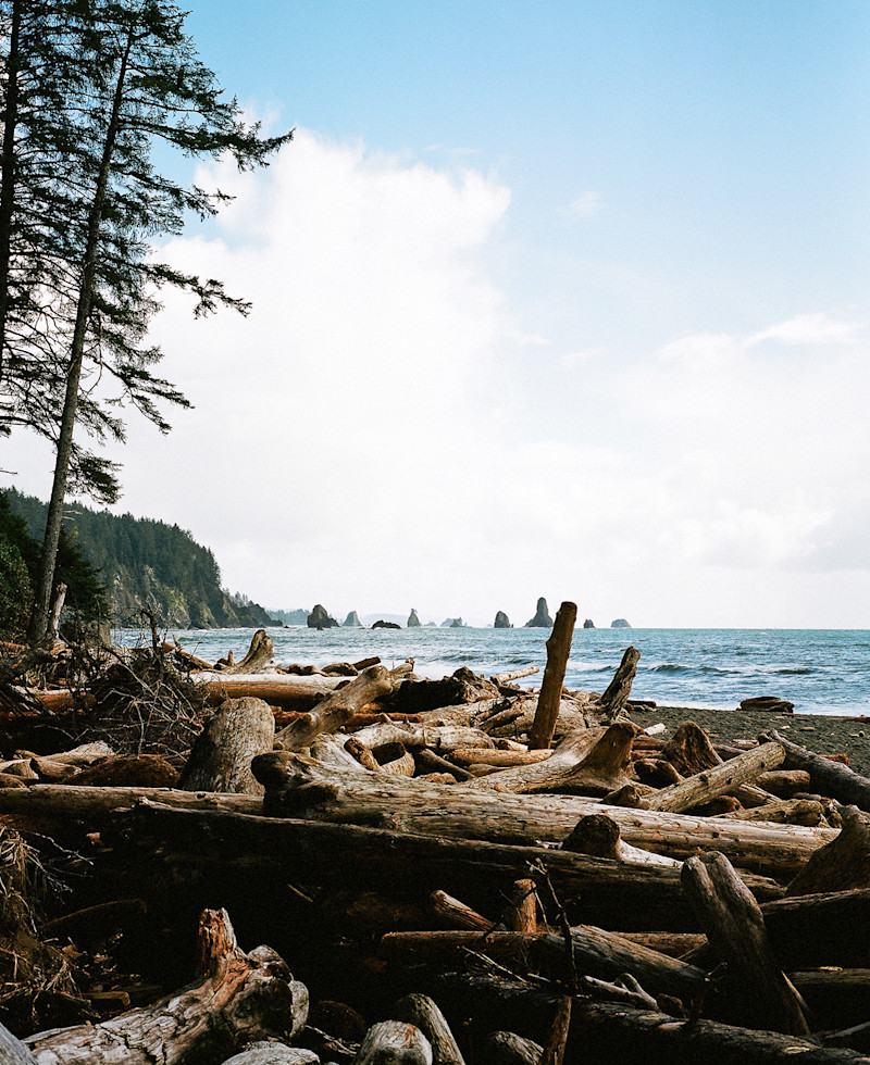 Naples-Barkman-Vanlife-PNW-2