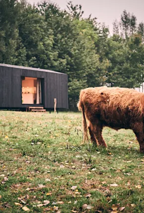 Slow Cabins Encourages Guests To Slow Down and Give Back