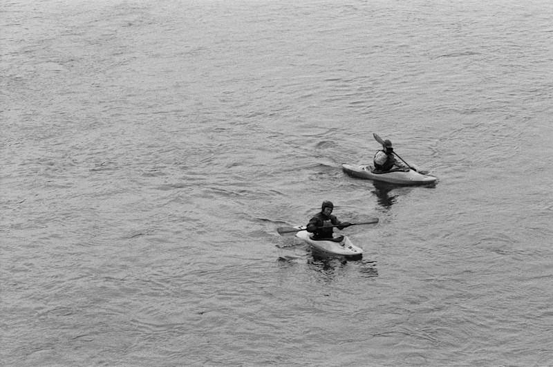 swims-essay-fieldmag-6