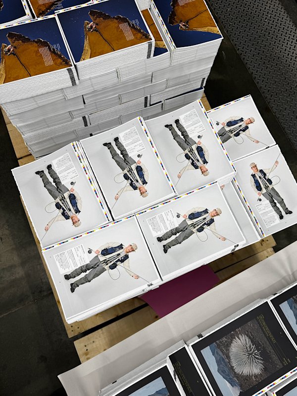 FM01 Printing FlyFIsh