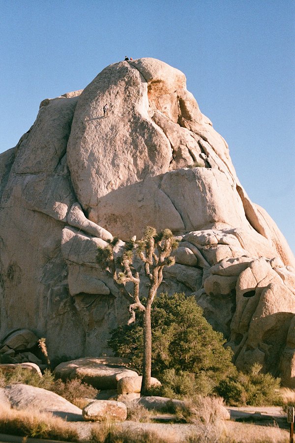 M-Richardson-Joshua-Tree-3