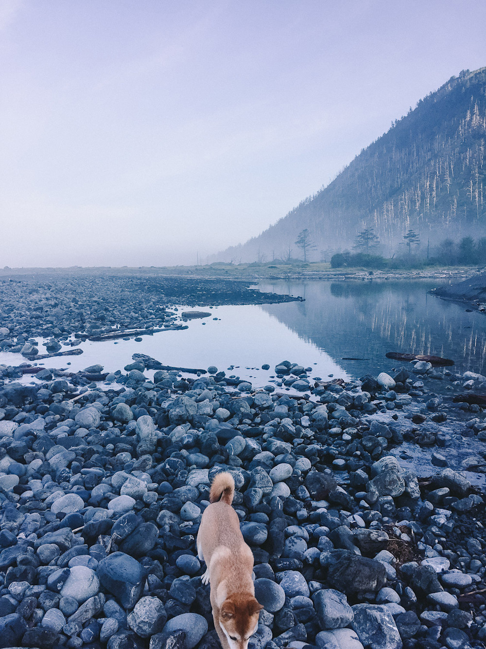 Colton-Jacobs-Lost-Coast-1