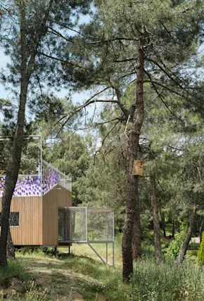 This Prefab Cabin is Designed to Accommodate Both Human & Bird