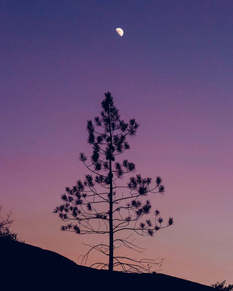 Sky-Greene-Junipr-Ridge-1