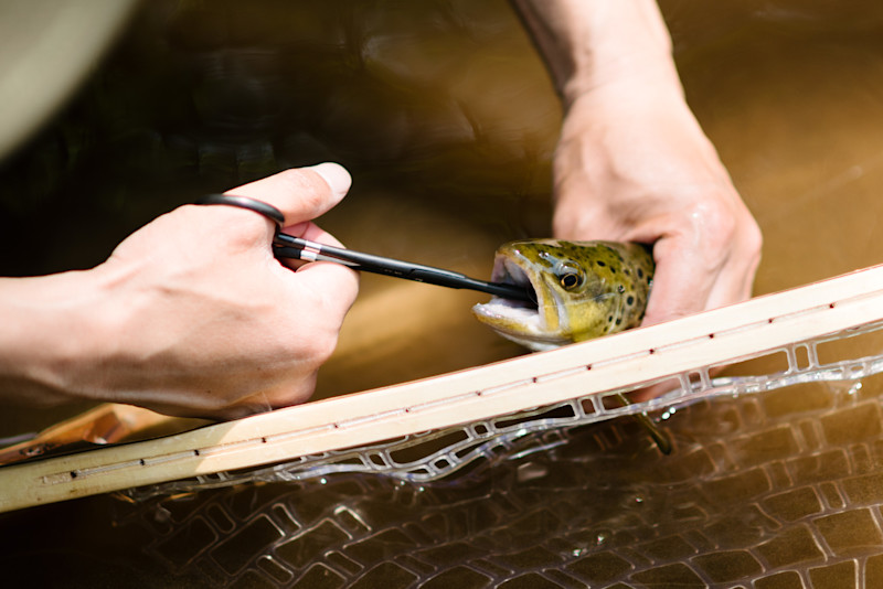 FlyFishing Neversink Mehring-10