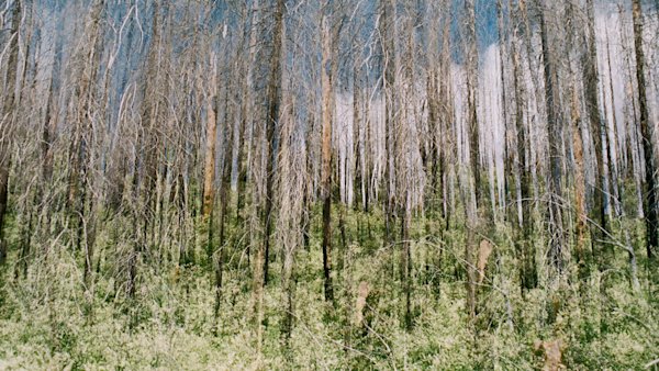 Jason-Corning-Dual-Exposure-CA-9