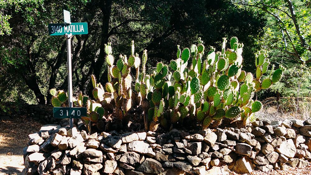 Latigo-Los-Padres-3