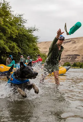 Dog Life Jacket Guide: Our Top 8 Picks to Keep Your Pooch Safe