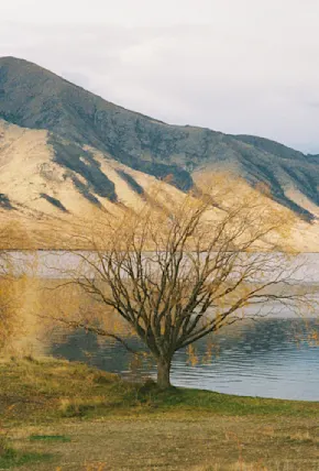 Bad Weather, Surreal Terrain & 35mm Film: A Proper New Zealand Road Trip