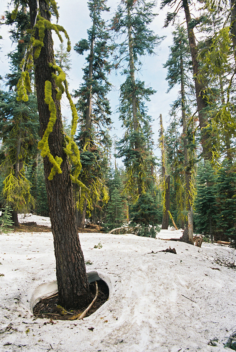 Upchurch-Yosemite-Eagle-Peak-14