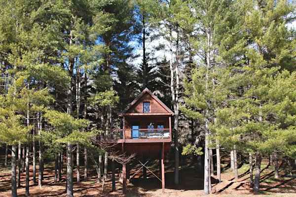 the-joshua-treehouse-bridgewater-virginia