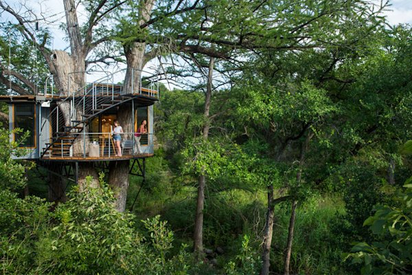 Top-Treehouses-Cypress-Valley-Exterior