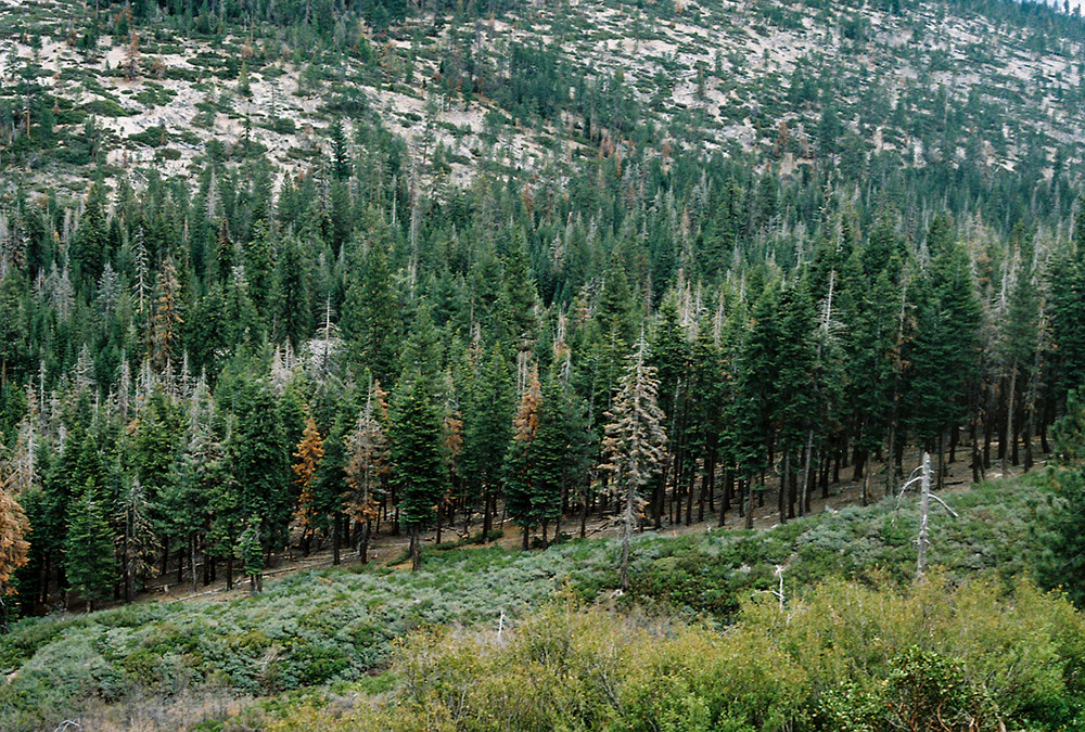 Nash-Rood-Yosemite-El-Cap-9