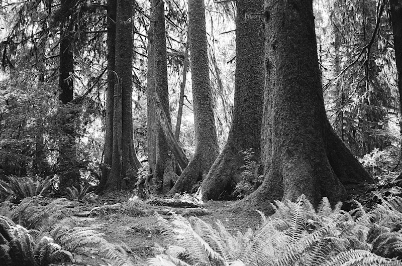 Nash-Rood-Rialto-Beach-BW-Fieldmag-4