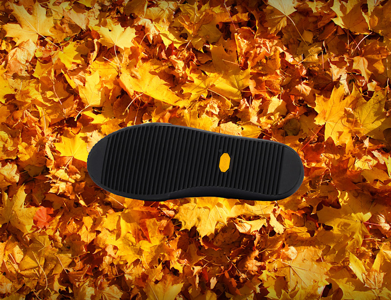 Limited Edition Ranger Lo S, $130