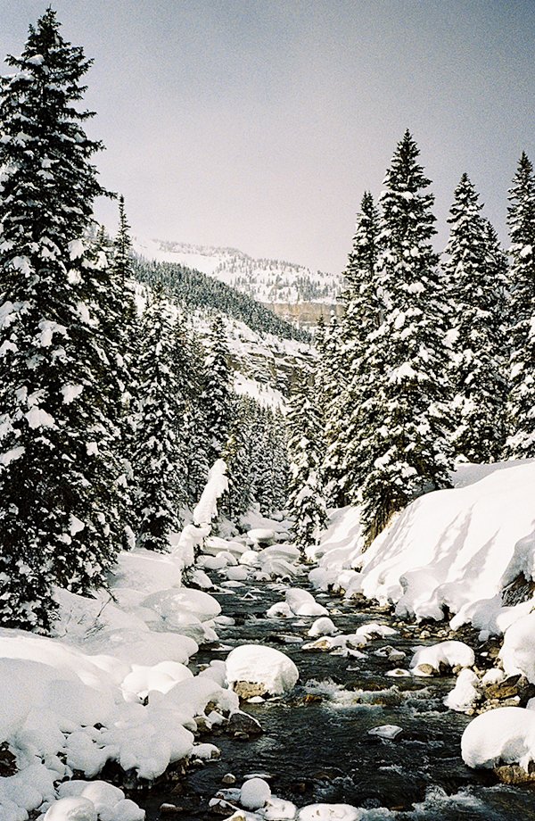 Wyoming-Backcountry-Sled-Field-Mag-4