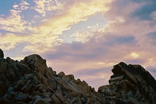 GH-JoshuaTree-3