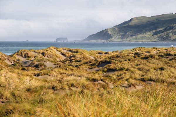 Colton-Jacobs-Lost-Coast-5