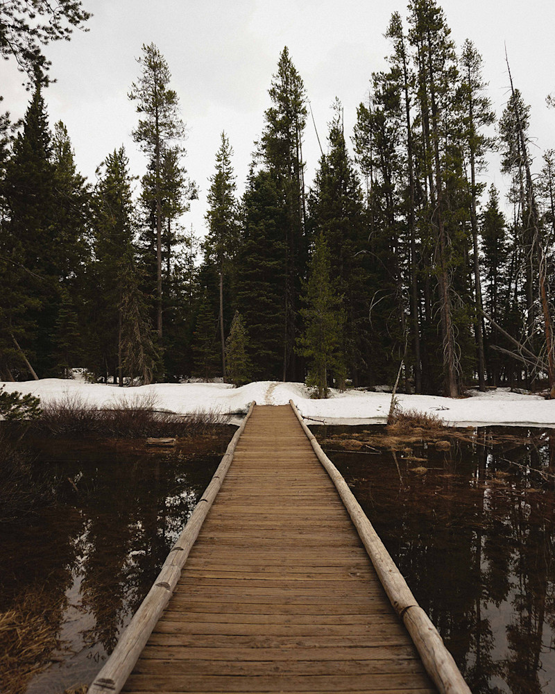 Andrew-Wee-Teton-Yellowstone-14