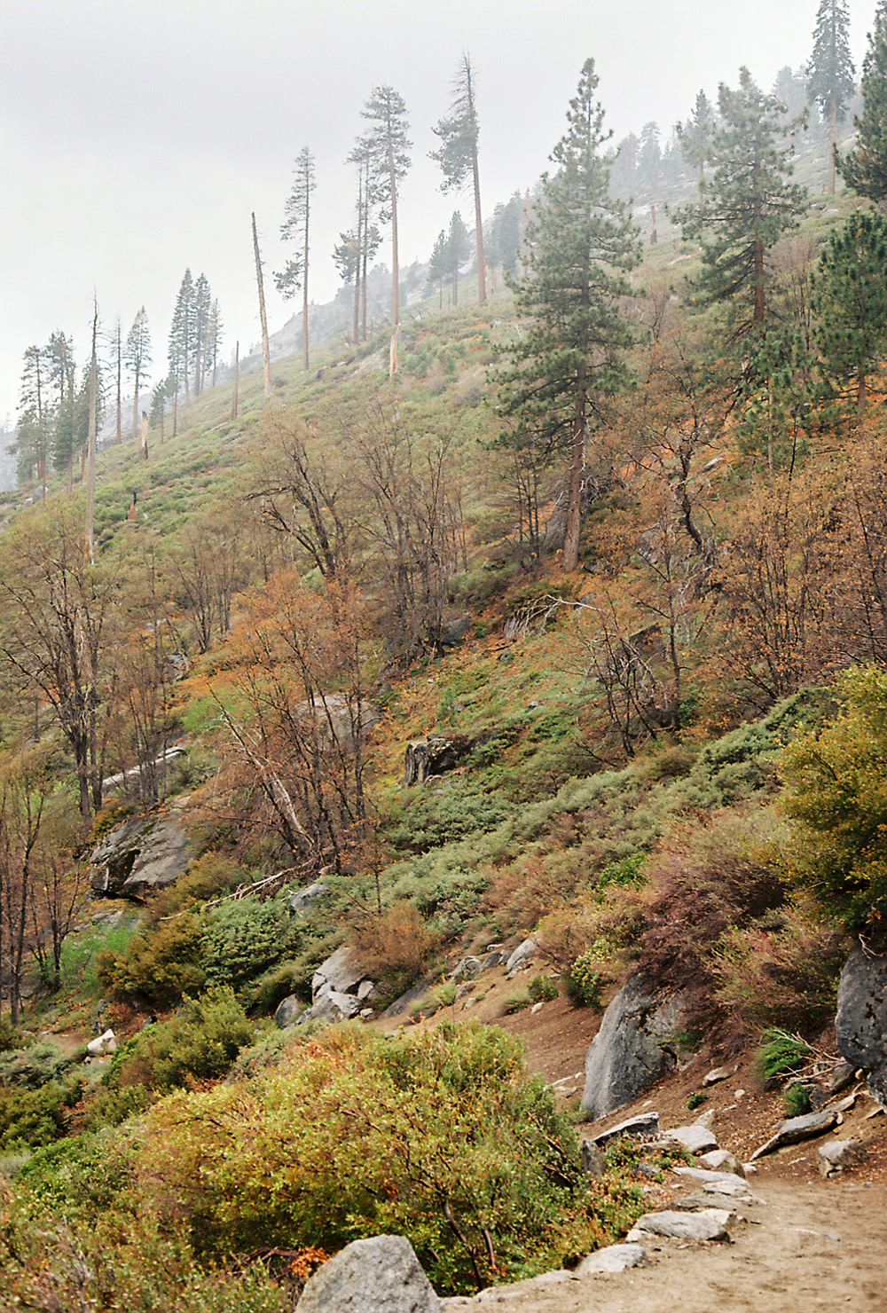 Nash-Rood-Yosemite-El-Cap-11