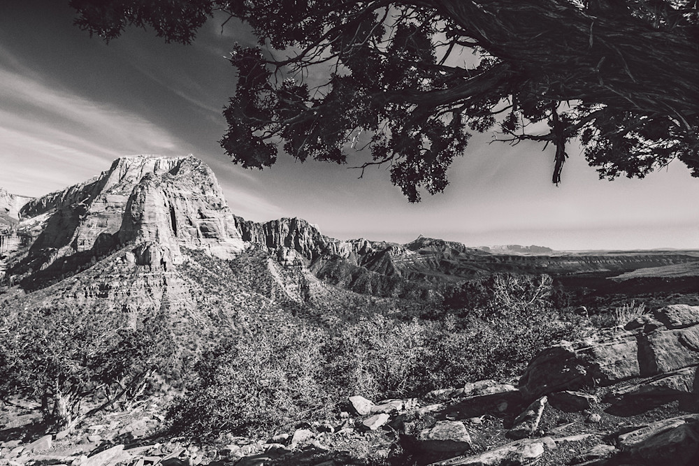 Mowery-Zion-Bryce-11
