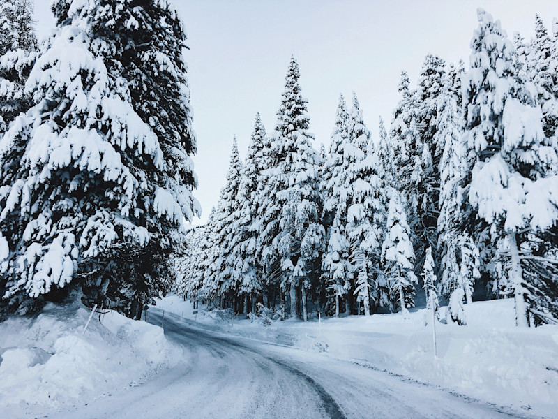Sarah-Attar-Eastern-Sierra-9