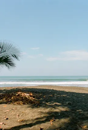 Inside The Balance Project in Costa Rica with Austen Sweetin