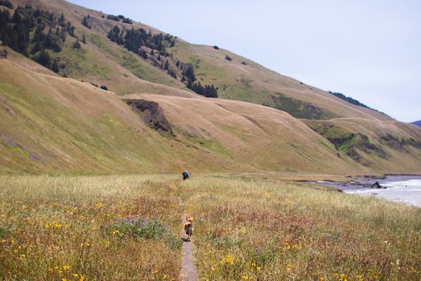 Colton-Jacobs-Lost-Coast-18