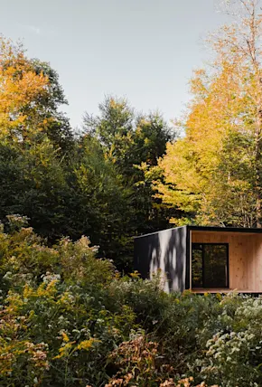 An Off-Grid Micro Cabin in Upstate New York Inspired by Thoreau