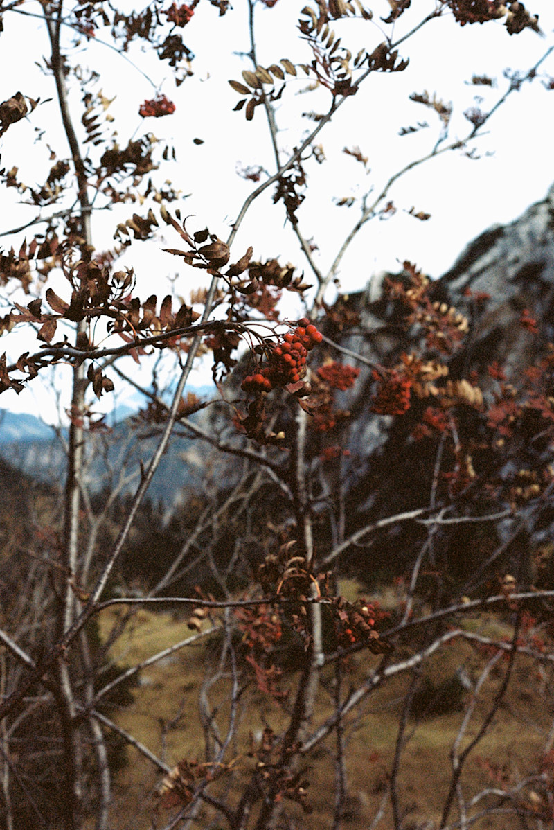 Philipp-Wortmann-fall-alpine-hike-5