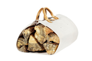 Winter Session Canvas Log Tote