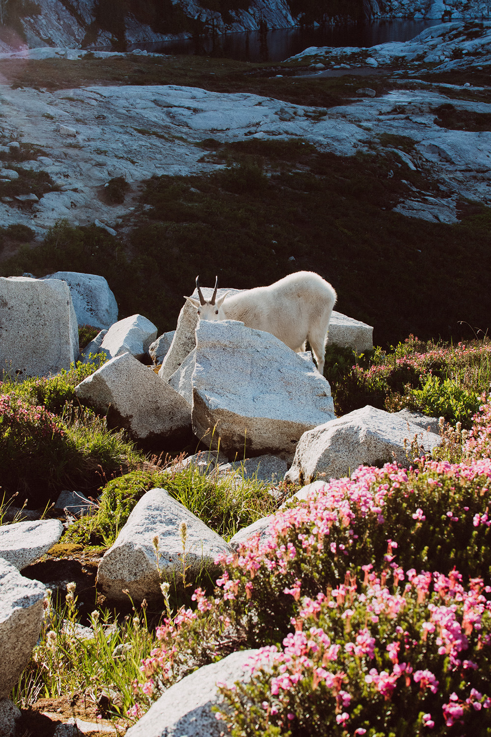 Colton-Jacobs-Alpine-Lake-Wild-3