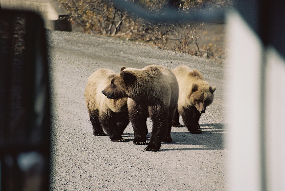 Upchurch-Alaska-Fall-3