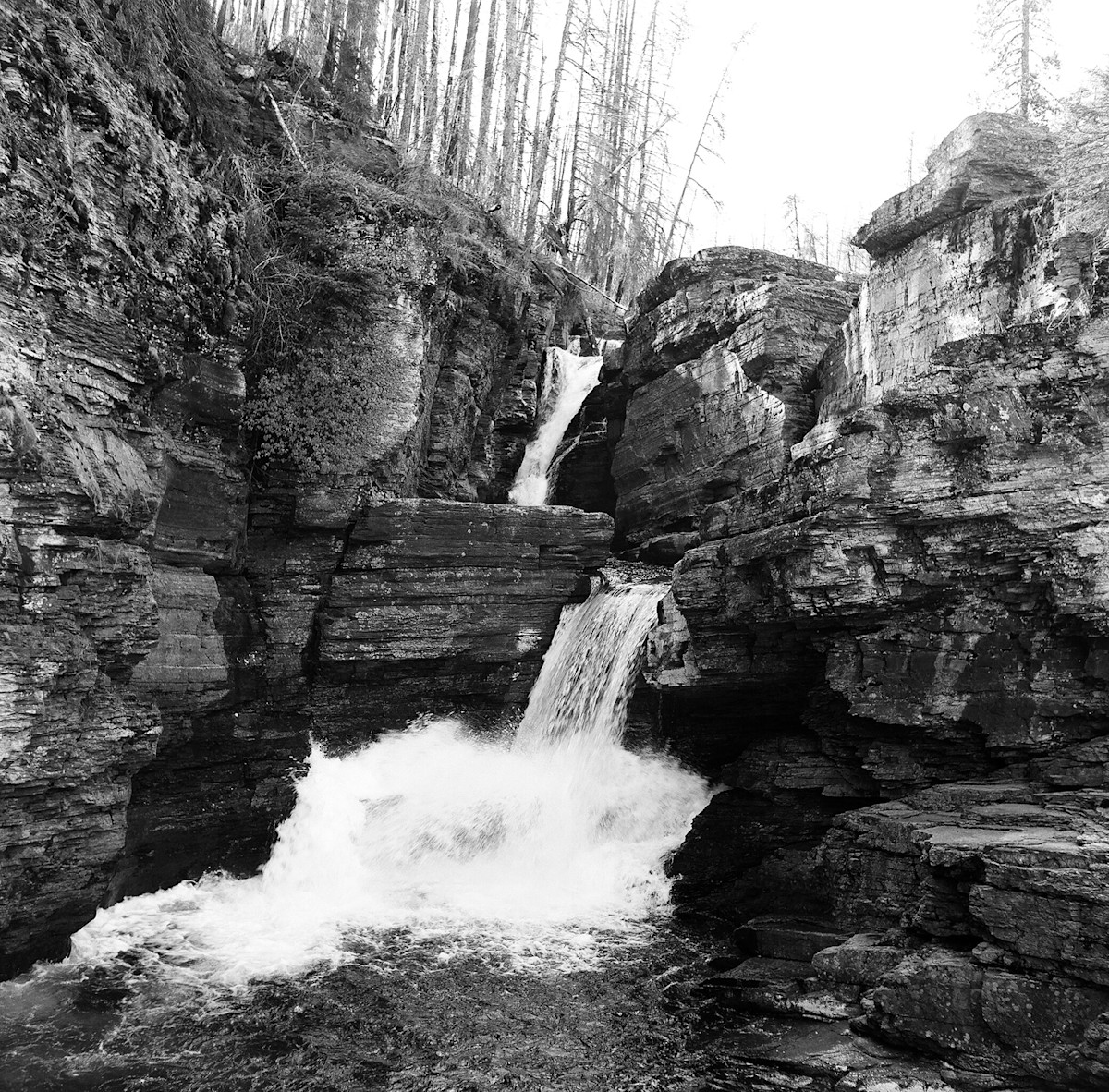 Elias-Carlson-Glacier-BW-12