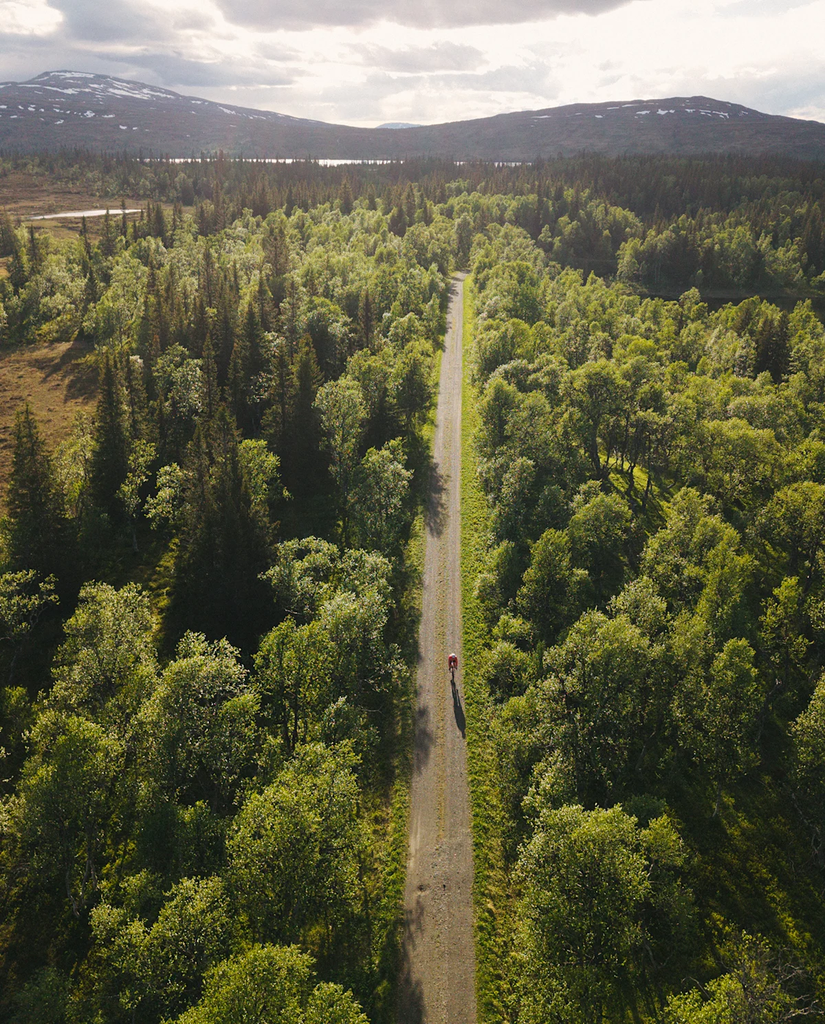 emrik-jansson-are-tourism-forest-path