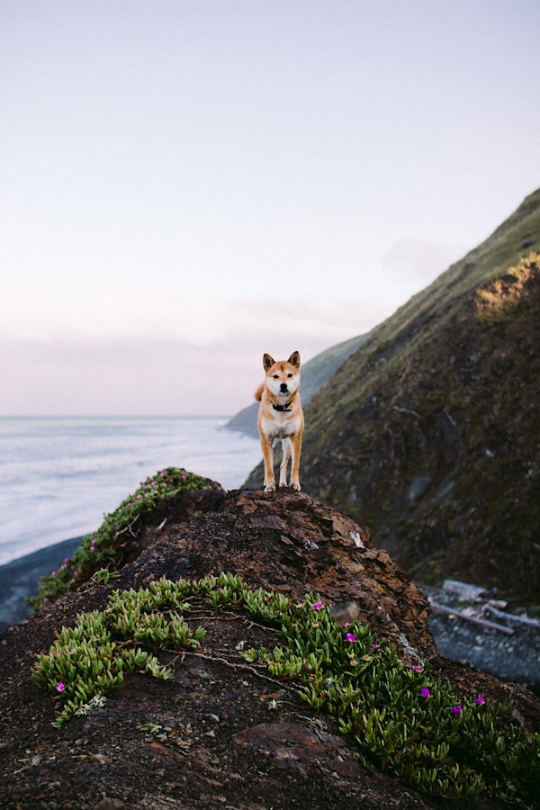 Colton-Jacobs-Lost-Coast-15