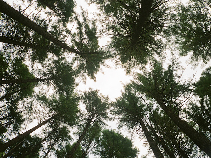 9 Climate Neutral Products to Lessen Your Impact at Home & Camp